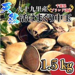 ふるさと納税 山武市 天然活はまぐり中玉1.5kg|千葉県九十九里産
