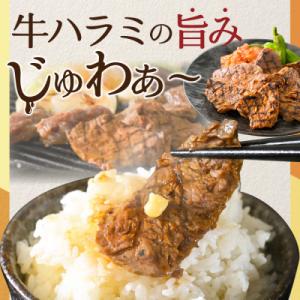 ふるさと納税 別海町 熟成 牛ハラミ焼肉セット...の詳細画像1