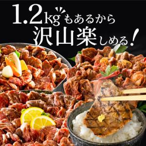 ふるさと納税 別海町 熟成 牛ハラミ焼肉セット...の詳細画像2
