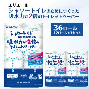 ふるさと納税 島田市 エリエールシャワートイレの...の商品画像