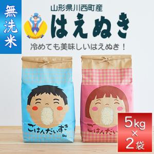 ふるさと納税 川西町 《先行受付》令和7年産　はえぬき10kg(5kg×2袋)【無洗米】