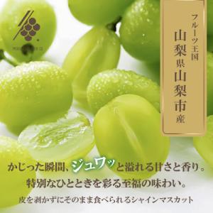 ふるさと納税 山梨市 【2026年発送】 シャ...の詳細画像1