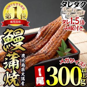 ふるさと納税 東串良町 東串良町のうなぎ蒲焼(無頭) 【メガサイズ】 1尾・300g以上 タレ山椒×...