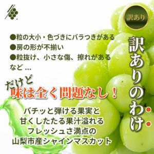 ふるさと納税 山梨市 シャインマスカット 粒 ...の詳細画像1