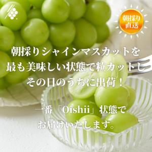 ふるさと納税 山梨市 シャインマスカット 粒 ...の詳細画像2