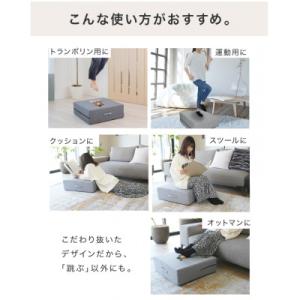ふるさと納税 館林市 ぽんちゃん トランポリン...の詳細画像2