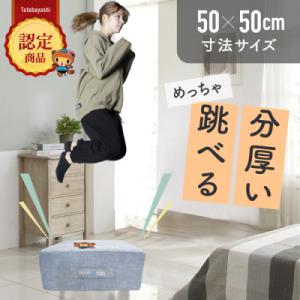 ふるさと納税 館林市 ぽんちゃん トランポリンク...の商品画像