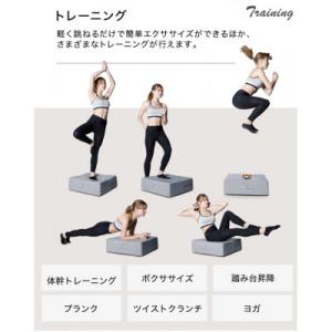 ふるさと納税 館林市 ぽんちゃん トランポリン...の詳細画像2