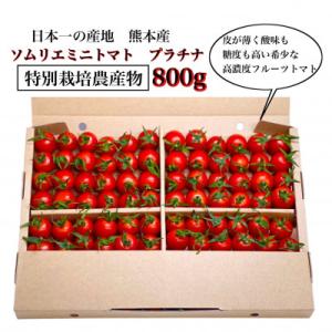 ふるさと納税 玉名市 【特別栽培農産物】「ソムリ...の商品画像