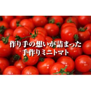 ふるさと納税 玉名市 【特別栽培農産物】「ソム...の詳細画像1