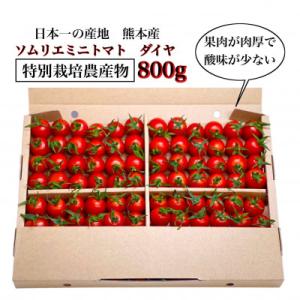 ふるさと納税 玉名市 【特別栽培農産物】「ソムリエミニトマト　ダイヤ」800g