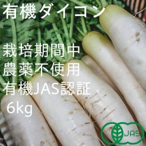 ふるさと納税 掛川市 有機大根　有機JAS認証　煮物やおでんに最適　冬の味覚(12〜3月発送)