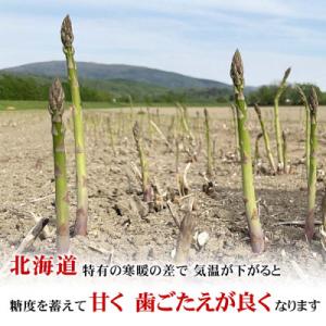 ふるさと納税 旭川市 2027年産【Lサイズ】...の詳細画像2