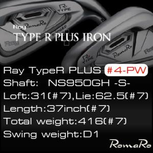 ふるさと納税 瑞穂町 RomaRo Ray Type R PLUS Iron #4-PW NS950...
