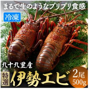 ふるさと納税 旭市 あま〜い!美味い!リキッド凍結伊勢海老 刺身用 2尾(計500g)