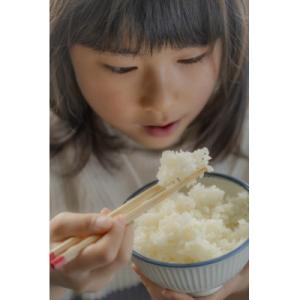 ふるさと納税 酒田市 山形県産庄内米4銘柄食べ...の詳細画像2