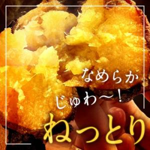 ふるさと納税 鹿屋市 紅はるか冷凍焼き芋 約3...の詳細画像2