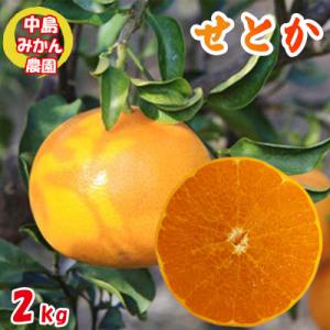 ふるさと納税 松山市 中島みかん農園 せとか 小玉 2kg
