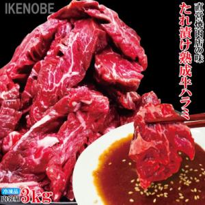 ふるさと納税 常陸大宮市 【ふるさと納税】熟成牛ハラミ 3kg