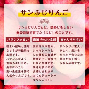 ふるさと納税 寒河江市 【2026年産】訳あり...の詳細画像1