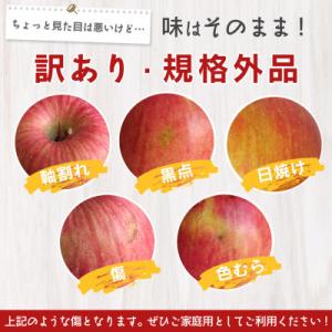 ふるさと納税 寒河江市 【2026年産】訳あり...の詳細画像3