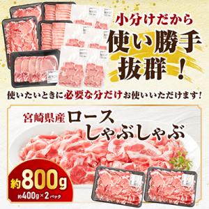ふるさと納税 宮崎市 宮崎県産豚肉セット 4....の詳細画像1