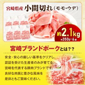 ふるさと納税 宮崎市 宮崎県産豚肉セット 4....の詳細画像3