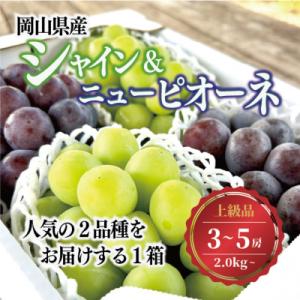 ふるさと納税 津山市 シャインマスカット&ピオーネ 上級品 3-5房入/計2kg〜 (岡山県産) 人気の食べ比べセット!