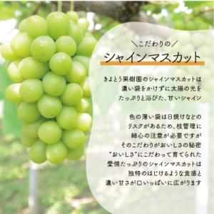 ふるさと納税 津山市 シャインマスカット&am...の詳細画像1