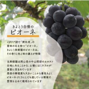 ふるさと納税 津山市 シャインマスカット&am...の詳細画像2