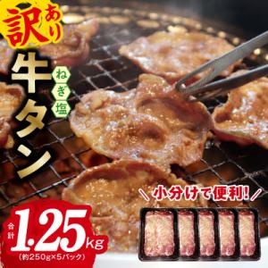 ふるさと納税 泉佐野市 ねぎ塩 牛たん 1.25kg 小分け 250g×5P 成型肉 焼肉 010B...