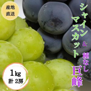 ふるさと納税 甲州市 ◆2026年発送◆産地直送...の商品画像