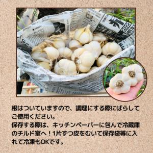 ふるさと納税 田子町 【訳あり】青森県田子町産...の詳細画像3