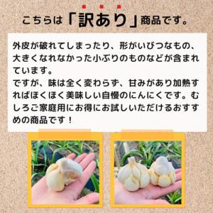 ふるさと納税 田子町 【訳あり】青森県田子町産...の詳細画像1