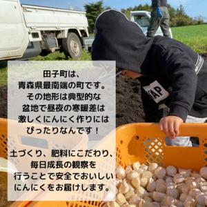 ふるさと納税 田子町 【訳あり】青森県田子町産...の詳細画像2