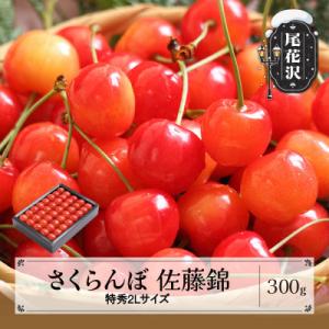 ふるさと納税 尾花沢市 先行受付 さくらんぼ 佐藤錦 特秀2Lサイズ 300g 化粧箱鏡詰め 202...