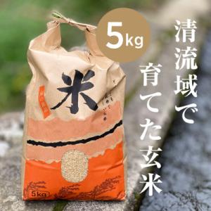 ふるさと納税 津和野町 【先行受付】山間の清流を引き込んだ田んぼで作った「きぬむすめ玄米」5kg(令和8年産)