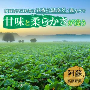 ふるさと納税 阿蘇市 季節のお野菜セットM 旬...の詳細画像1