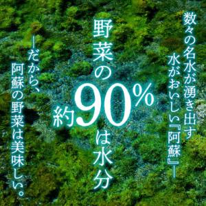 ふるさと納税 阿蘇市 季節のお野菜セットM 旬...の詳細画像2