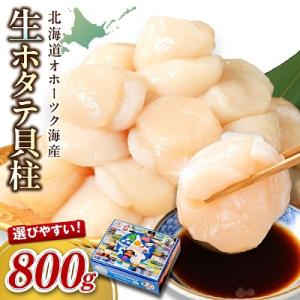 ふるさと納税 北見市 北海道オホーツク海産　ホタテ貝柱　800g　生食用(約40〜80玉)