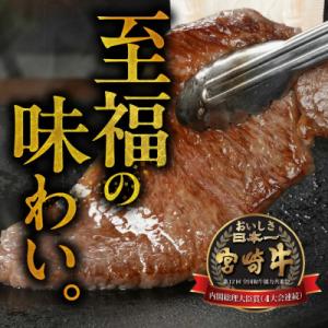 ふるさと納税 都城市 宮崎牛ロースステーキ 4...の詳細画像2