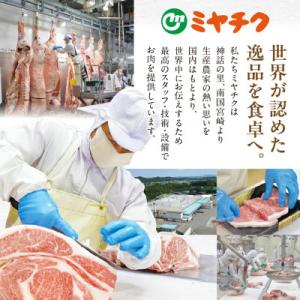 ふるさと納税 都城市 宮崎牛ロースステーキ 4...の詳細画像3