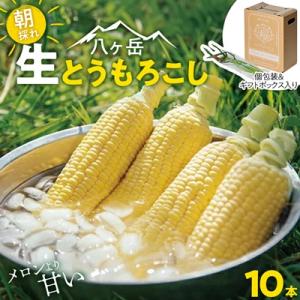 ふるさと納税 茅野市 　【先行予約】朝採れ 八ヶ岳生とうもろこし 10本〈2026年7月下旬〜9月下...