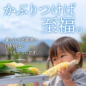 ふるさと納税 茅野市 【先行予約】朝採れ 八ヶ...の詳細画像1