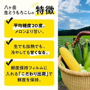 ふるさと納税 茅野市 【先行予約】朝採れ 八ヶ...の詳細画像2