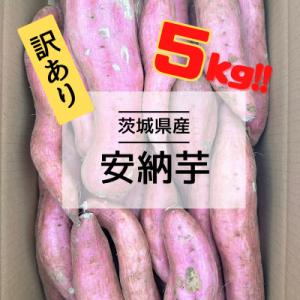 ふるさと納税 取手市 【先行受注・数量限定】11月より順次発送　訳アリ 5kg 茨城県産 安納芋