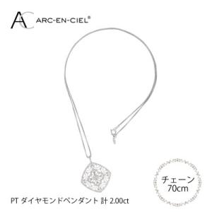 ふるさと納税 泉佐野市 アルカンシェル プラチ...の詳細画像1