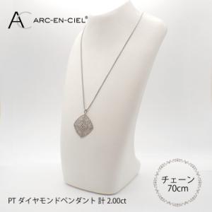 ふるさと納税 泉佐野市 アルカンシェル プラチ...の詳細画像3