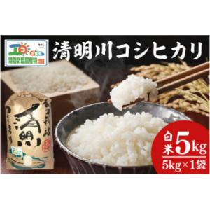 ふるさと納税 阿見町 令和7年産 茨城県特別栽培認証 清明川コシヒカリ白米5kg(04-01)
