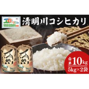 ふるさと納税 阿見町 令和7年産 茨城県特別栽培認証 清明川コシヒカリ白米5kg×2袋(04-02)